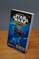 Ruin: Star Wars Legends (The New Jedi Order: Dark Tide, Book II) 