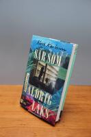 S&aring;r som aldrig l&auml;ks : Rinkebysviten 2