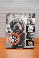 V&auml;lj r&auml;tt hund : en handbok f&ouml;r alla hund&auml;gare