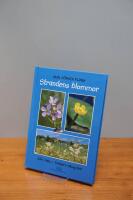 Strandens blommor