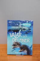 Nyfiken p&aring; valar och delfiner