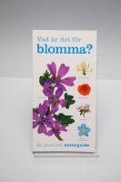 Vad &auml;r det f&ouml;r blomma?