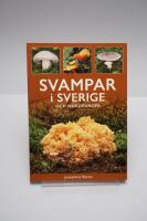 Svampar i Sverige & Nordeuropa