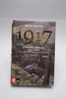 Stridens sk&ouml;nhet och sorg 1917 : f&ouml;rsta v&auml;rldskrigets fj&auml;rde &aring;r i 108 korta kapitel