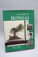 A Guide to Bonsai