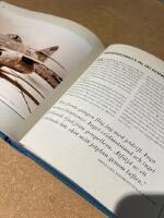 Fantastiska flygplan : en historisk uppslagsbok