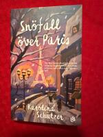 Sn&ouml;fall &ouml;ver Paris