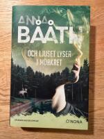 Och ljuset lyser i m&ouml;rkret