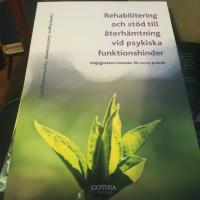 Rehabilitering och st&ouml;d till &aring;terh&auml;mtning vid psykiska funktionshinder : m&ouml;jlighetens metoder f&ouml;r en ny praktik