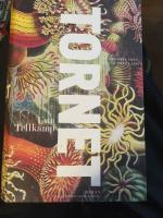 Tornet : en historia fr&aring;n ett sjunket land