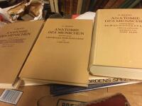 Anatomie des menschen