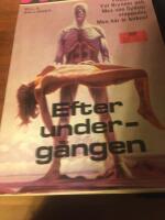 Efter underg&aring;ngen