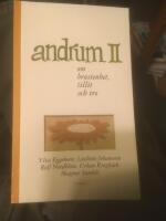 Andrum II : om brustenhet, tillit och tro
