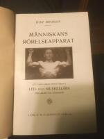 M&auml;nniskans r&ouml;relseapparat led- och muskell&auml;ra