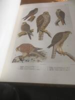 Nordens f&aring;glar I-II