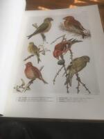 Nordens f&aring;glar I-II