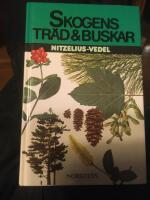 Skogens tr&auml;d och buskar i f&auml;rg