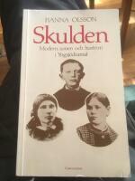 Skulden : modern, sonen och hustrun i Yngsj&ouml;dramat