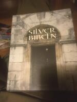 Silverbibeln : Theoderiks bok
