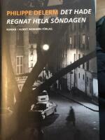 Det hade regnat hela s&ouml;ndagen