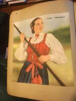 De svenska folkdr&auml;kternas stora parad