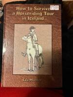 How to survive a horseriding tour in iceland