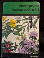 Vintergr&ouml;na buskar och tr&auml;d i f&auml;rg : tr&auml;dg&aring;rdens barrv&auml;xter, vintergr&ouml;na bladb&auml;rande buskar och tr&auml;d