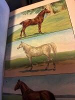 Veterin&auml;ren Boken om v&aring;ra husdjur 