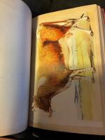 Veterin&auml;ren Boken om v&aring;ra husdjur 