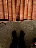 Svenska folkets underbara &ouml;den