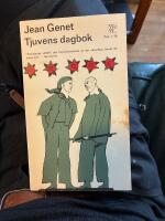 Tjuvens dagbok 