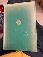 Staden gr&ouml;nskar