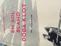 En sol bland d&ouml;da klot