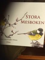 Stora mesboken