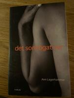 Det som &ouml;gat ser