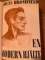 En modern hj&auml;lte