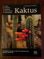 Kaktus