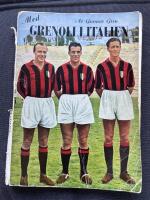 Med Grenoli i Italien. ber&auml;ttelsen om tv&aring; &aring;rs italienska fotbollsupplevelser