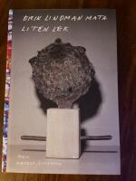Liten lek : samlade dikter 2019-2020