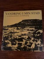 Vandring i min stad - en bokhandelsbok om Falk&ouml;ping