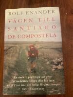 V&auml;gen till Santiago de Compostela : en modern pilgrim p&aring; jakt efter det medeltida Europa eller Hur id&eacute;n att g&aring; 5000 kilometer i den heliga Birgittas fotsp&aring;r blev n&aring;got annat