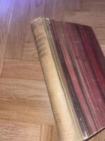 Den socialdemokratiska ungdomsr&ouml;relsen i Sverige. En historik av Tage Lindbom.