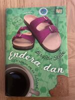 Endera dan : en roman om en fulfoting
