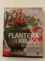 Plantera i kruka