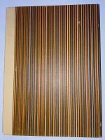 Ett bildsvep om Landskrona med omgivningar