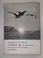 S&aring;som i et nytt Swerige