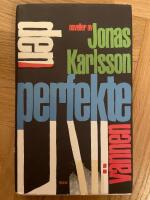 Den perfekte v&auml;nnen