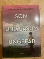 Som universum, ungef&auml;r : en sl&auml;ktroman