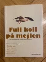 Full koll p&aring; mejlen
