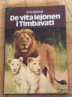 De vita lejonen i Timbavati